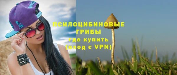 ешки Остров