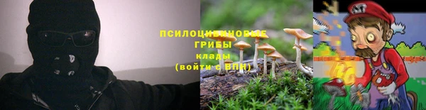 прущие крисы Осинники