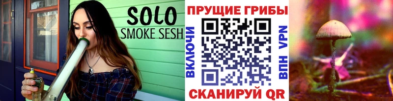 как найти закладки  Абдулино  Галлюциногенные грибы Magic Shrooms 